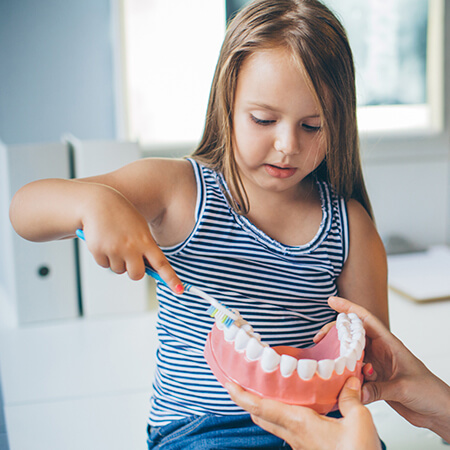 A girl learning to brush her teeth with a tooth model